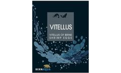 Vitellus - Exclusively Composed Artemia Cysts