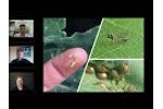 Integrated Pest Management of Vegetable Pests - A More Sustainable Approach (Webinar Recording) Video
