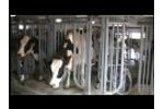 Zimmerman - Milking Parlor Video