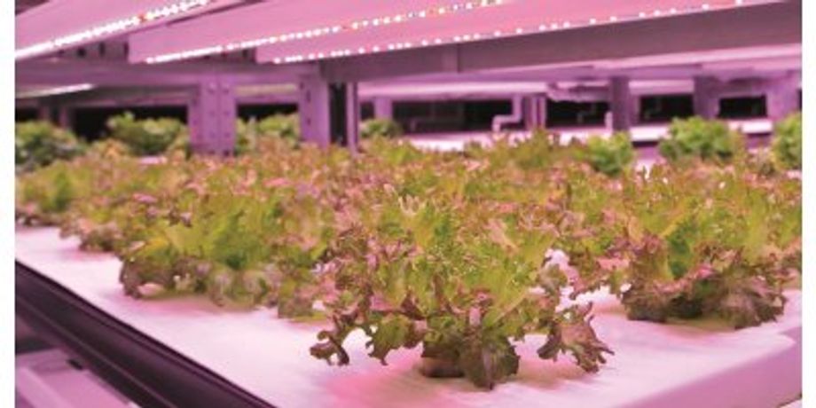 Priva - Indoor Growing Controlling System