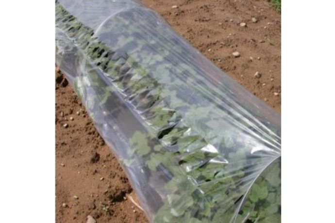 Agriculture Solutions - Model KB-05041-900 - Low Tunnel Clear Slitted Plastic 0.8 mil (6 x 1000)