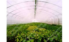 Cold fog systems solutions for agricultural industry
