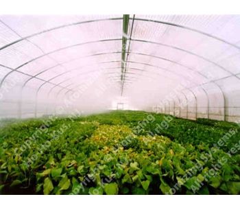 Cold fog systems solutions for agricultural industry - Agriculture