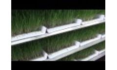 Fodder Tips - Cleaning and Sanitizing Fodder Trays Video