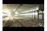 Broilers on floor - Sperotto S.p.a. - Video