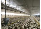 Sperotto Astra - Rationed Feeding System for Broilers