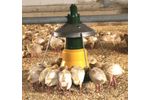 Sperotto Takky - Pan Feeding System for Turkeys