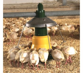 Sperotto Takky - Pan Feeding System for Turkeys