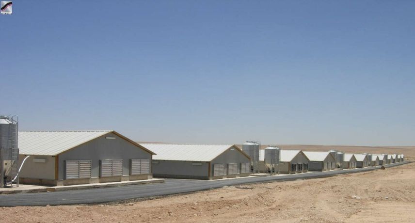 Sperotto - Floor Rearing Poultry House