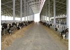 Sperotto - Cow Sheds