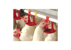 Poultry Watering Systems