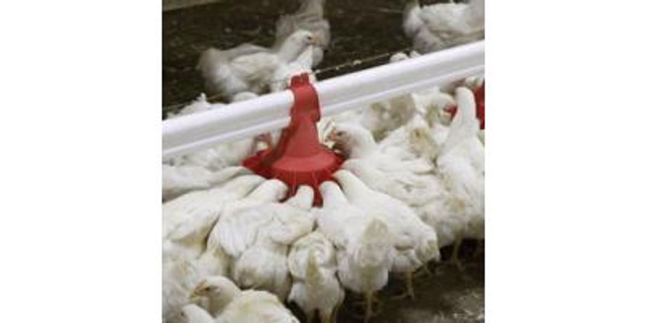 Poultry Pan Feeding Systems