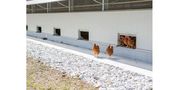 Prefabricated Shed Poultry House