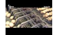 Vencomatic Group: Prinzen - Ovoset Pro - Automatic Egg Packer for Hatching Eggs Video