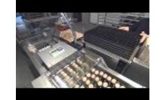 Vencomatic Group: Prinzen - Trolley Loader - Automatic Loading of Setter Trays Video