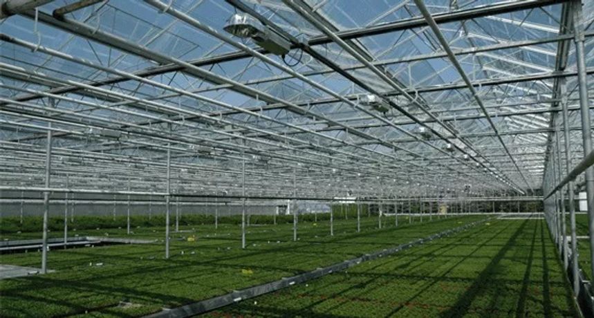 Westbrook - Model Venlo - Glass Greenhouses