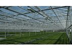 Westbrook - Model Venlo - Glass Greenhouses
