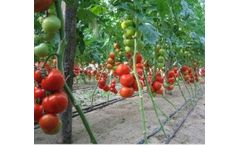 Neel-Agrotech - Turnkey Projects in Protected Agriculture & Hydroponics Services