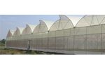 Neel-Agrotech - Greenhouses & Shadehouses