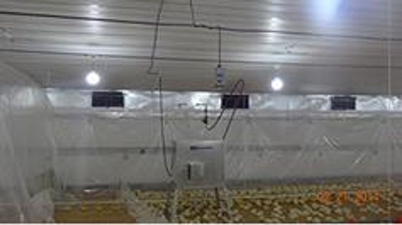 Poultry Heating System