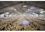 Technologies for Poultry
