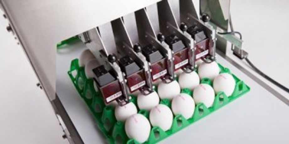 Kutlusan - Model Jet BAN5 - Egg Printing System