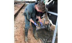 3-Days Herdsman Foot Trimming Course