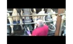 Teat Sanicleanse Teat Scrubber Product - UK Video