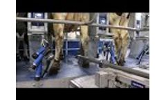 Agrobotics - Teat spray robot - Video