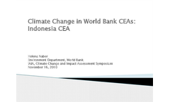 Climate Change and Country Environmental Analaysis: Case of Indonesia