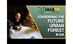 Seeing the Forest for the Trees: Part 4 of 7. Considering the Future Urban Forest in EIA - Video