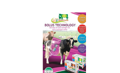 Agrimin - Model 24∙7 - Smartrace Growing Cattle Supplement Brochure
