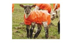 Lammac - Plastic Lamb Jackets