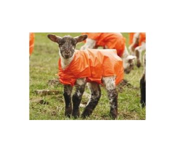 Lammac - Plastic Lamb Jackets