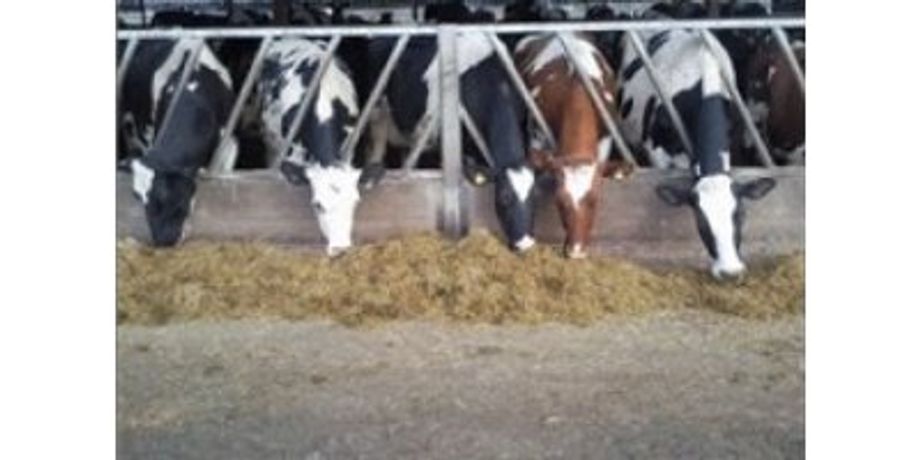 Farm Animal Vaccines & Dairy Hygiene Services