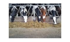 Farm Animal Vaccines & Dairy Hygiene Services
