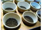 Soil Testing & Analysis Laboratory