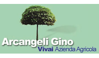 Arcangeli Gino