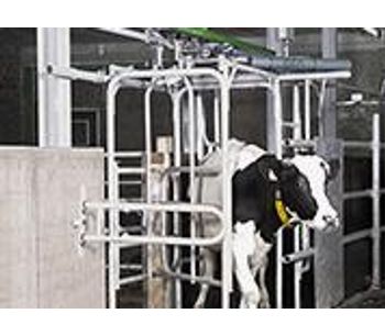 GEA Farm - Model AutoSelect 5000 - Dairy Cow Sorting Gates