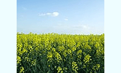 Biofuels markets in Sub-Saharan African can expect rapid growth, finds Frost & Sullivan