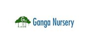 Ganga Nursery