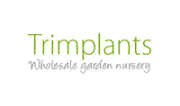 Trimplants Nursery