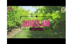 Quicelum - Organic Activator - Video