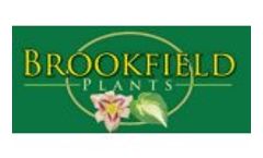 Brookfield Plants on BBC Hampton Court Palace Flower Show 2011 - Video