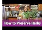 How to Freeze Herbs and How to Dry Herbs Video
