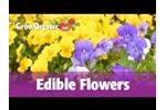 Edible Flowers Video