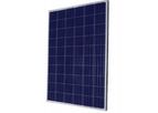 Sinoyin - Polycrystalline Solar Panel
