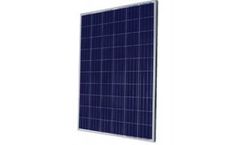 Sinoyin - Polycrystalline Solar Panel