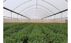 Greenspan Agritech - Crop Cover Fixed