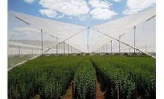 Greenspan Agritech - Shade Houses and Fruit Covers